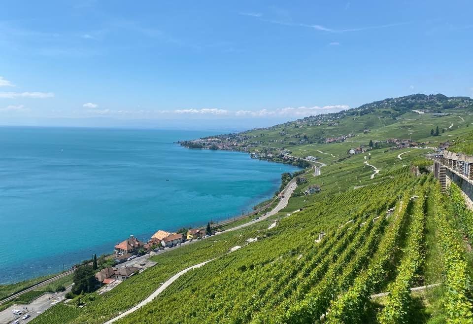 Lake and vineyard terraces in Switzerland