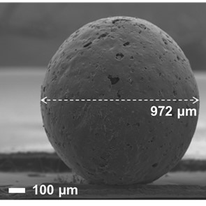 SEM image of a sorbent bead before FIB cutting