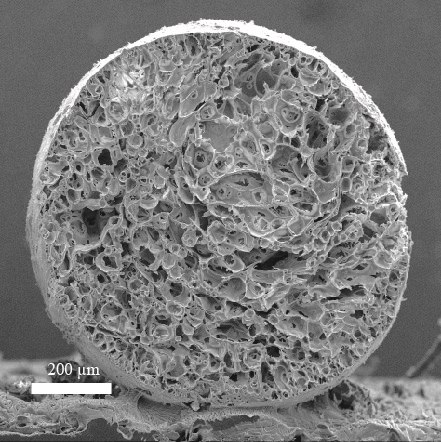 SEM image of hierarchically structured CO₂ adsorbent and WGS catalyst