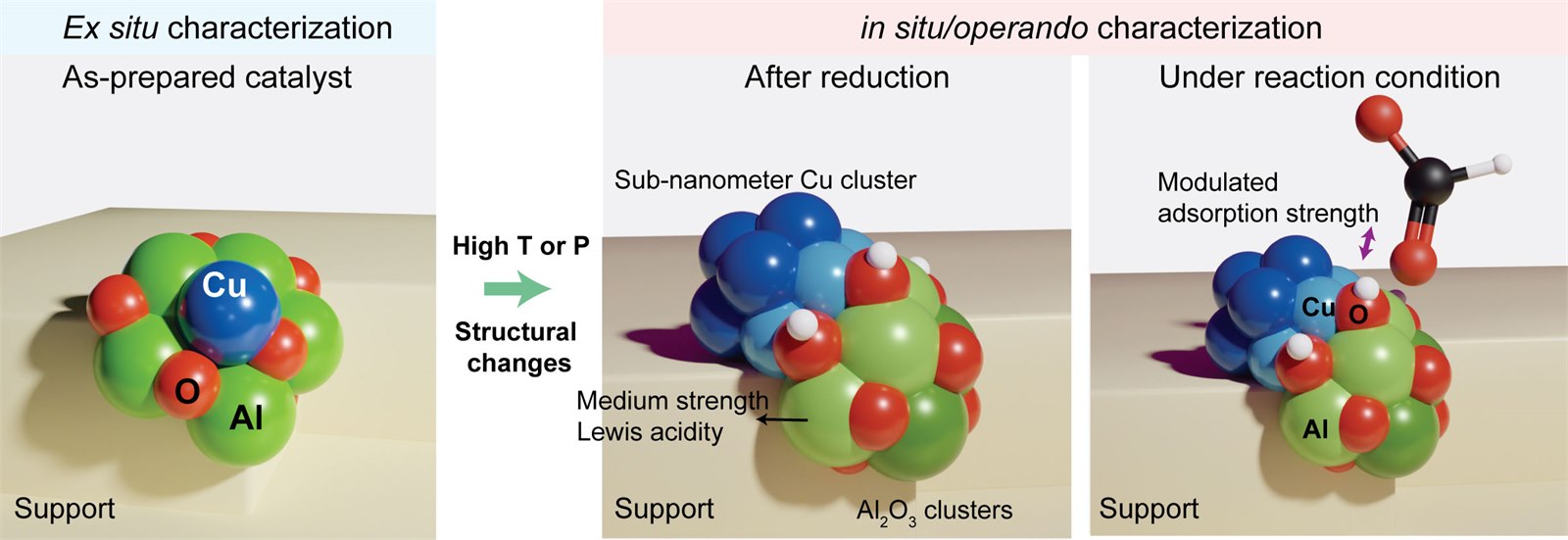 Ex situ and in situ / operando characterization of catalyst structural changes